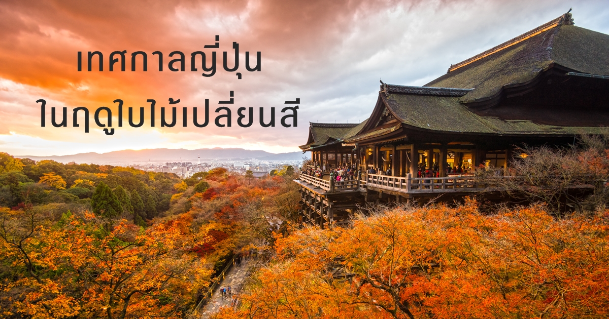 เทศกาลญี่ปุ่น ในฤดูใบไม้เปลี่ยนสี เทศกาลญี่ปุ่น ในฤดูใบไม้เปลี่ยนสี