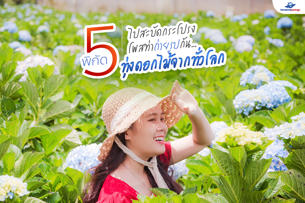 5 พิกัดทุ่งดอกไม้ทั่วโลก