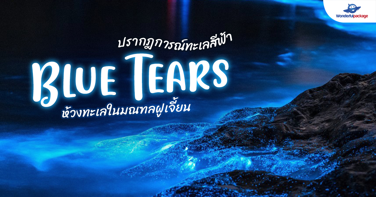 ปรากฎการณ์ Blue Tears ห้วงทะเลในมณฑลฝูเจี้ยน