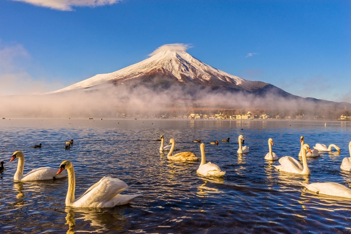 ญี่ปุ่น, ฤดูหนาว, Japan, Winter