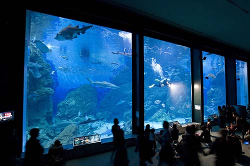 ท่องเที่ยวญี่ปุ่น, ฟุกุโอกะ,Marine World Uminonakamichi