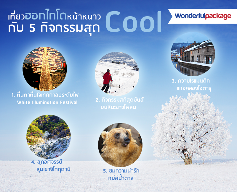 เที่ยวฮอกไกโดหน้าหนาว กับ 5 กิจกรรมสุด Cool