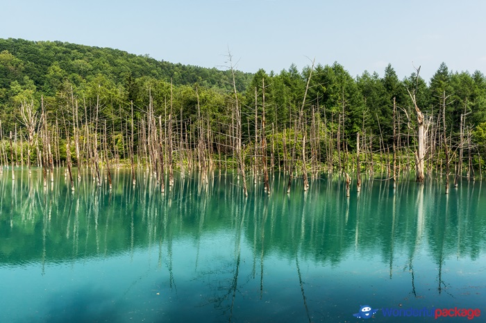 ฮอกไกโด, hokkaido