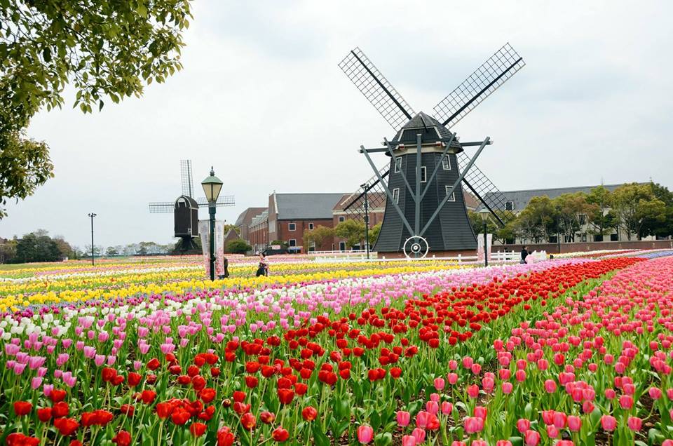 HUIS TEN BOSCH,ดัตช์,ฮอลล์แลนด์,เนเธอร์แลนด์,คิวชู,ฟุกุโอกะ,ญี่ปุ่น