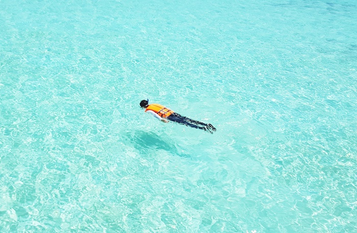 ดำน้ำตื้นชมปะการัง Snorkelling