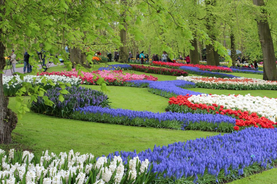 เทศกาลดอกทิวลิป, Kuekenhof, เนเธอร์แลนด์,ฮอลล์แลนด์,Netherlands