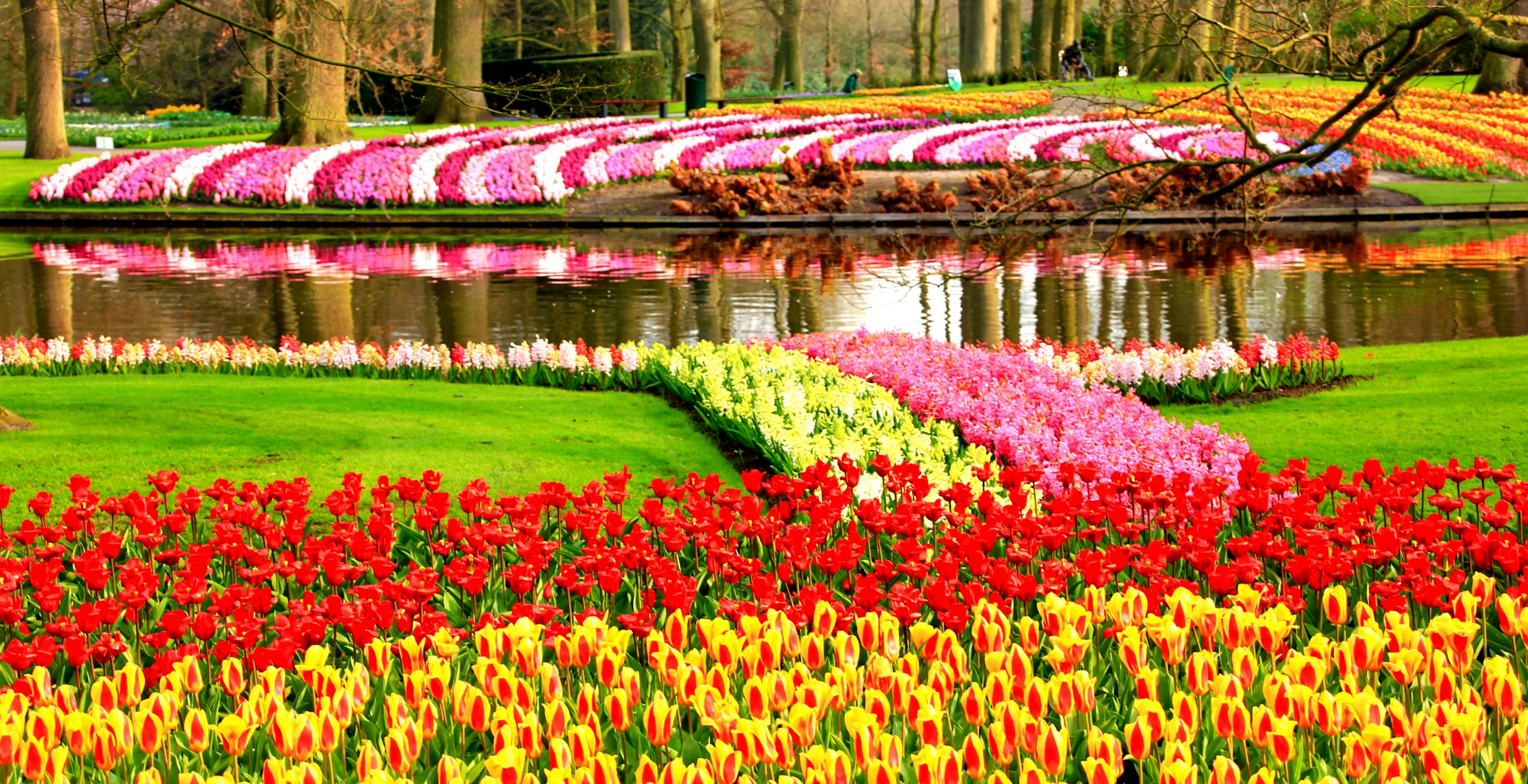 เทศกาลดอกทิวลิป, Kuekenhof, เนเธอร์แลนด์,ฮอลล์แลนด์,Netherlands