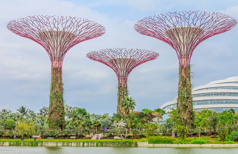 Gardens by the Bay, สิงคโปร์