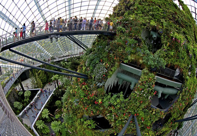 Gardens by the Bay, สิงคโปร์