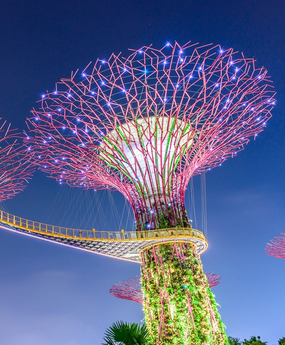 Gardens by the Bay, สิงคโปร์