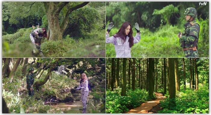02.Seogwipo_Forest