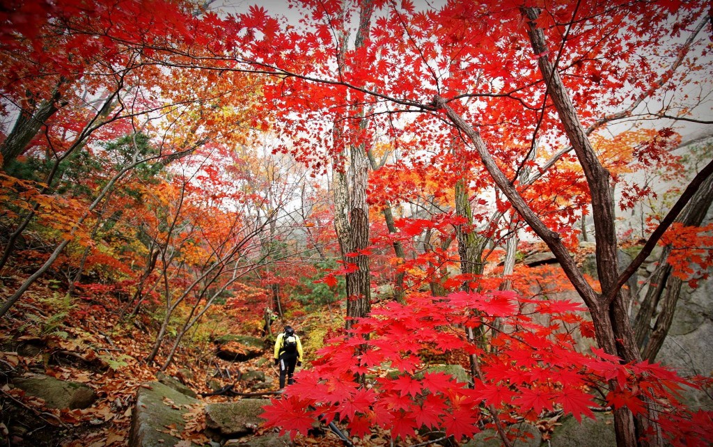 Bugaksan Mt.