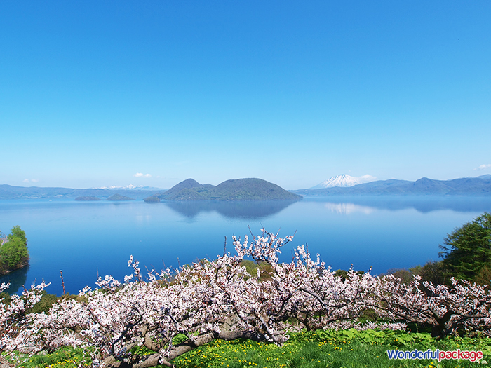 ทะเลสาบญี่ปุ่น ทะเลสาบโทยาโกะ