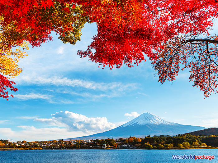 Mt.Fuji