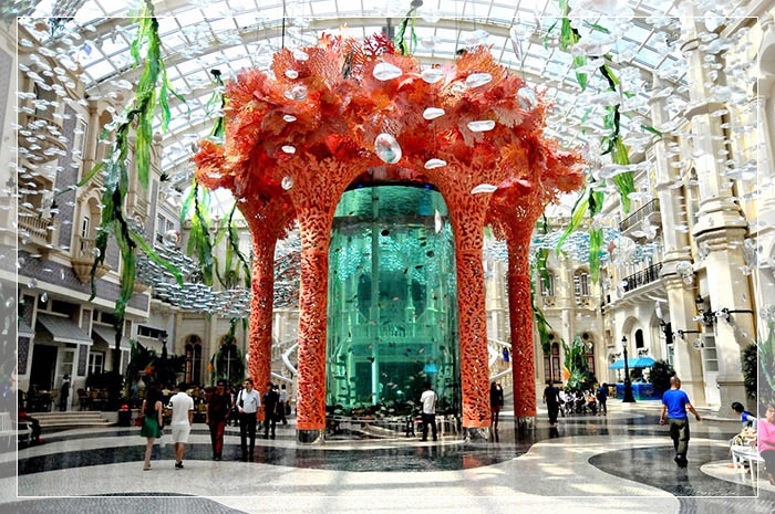 มาเก๊า Water - Sky Aquarium (MGM)