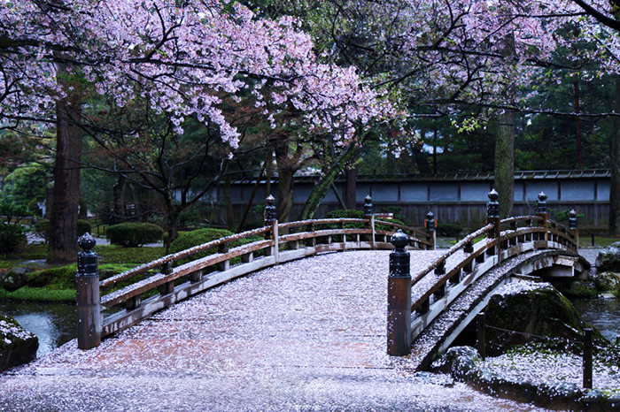สวนดอกไม้ ญี่ปุ่น