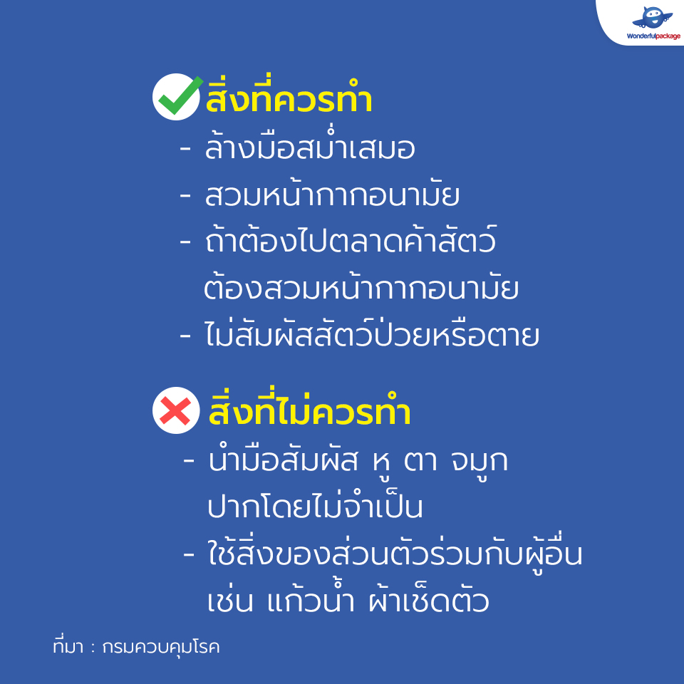 สิ่งที่ควรทำ