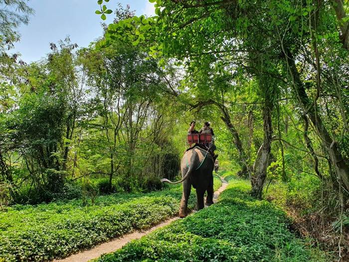 หมู่บ้านช้างดำเนินสะดวก ราชบุรี (Elephant Village)