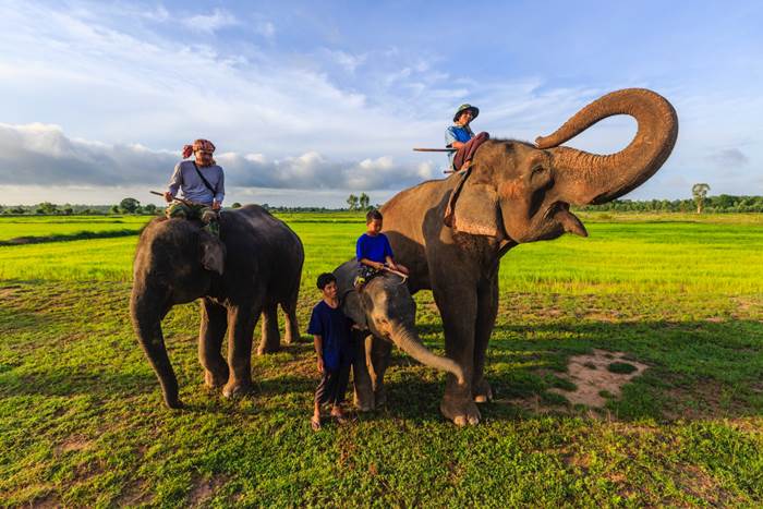 หมู่บ้านช้างบ้านตากลาง จังหวัดสุรินทร์