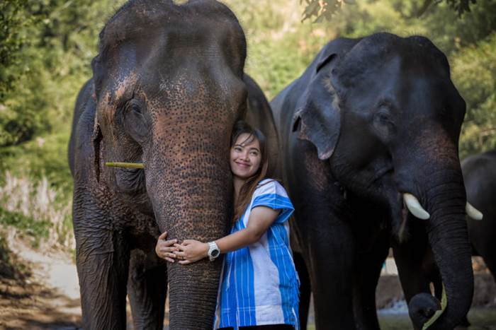 สวนอนุรักษ์ช้างเคอร์ชอร์ เชียงใหม่ (Kerchor Elephant Eco Park, Chiang Mai)