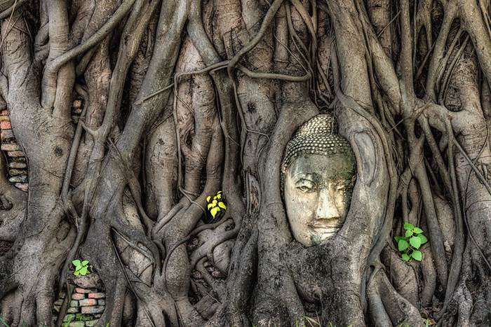 วัดมหาธาตุ (Wat Mahathat)