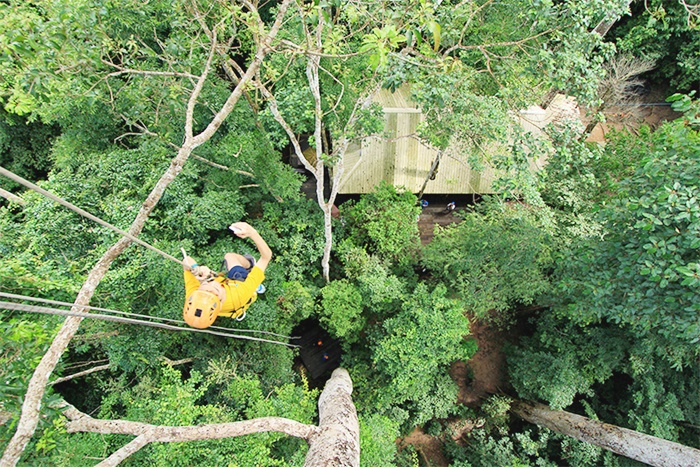 Playing Zipline