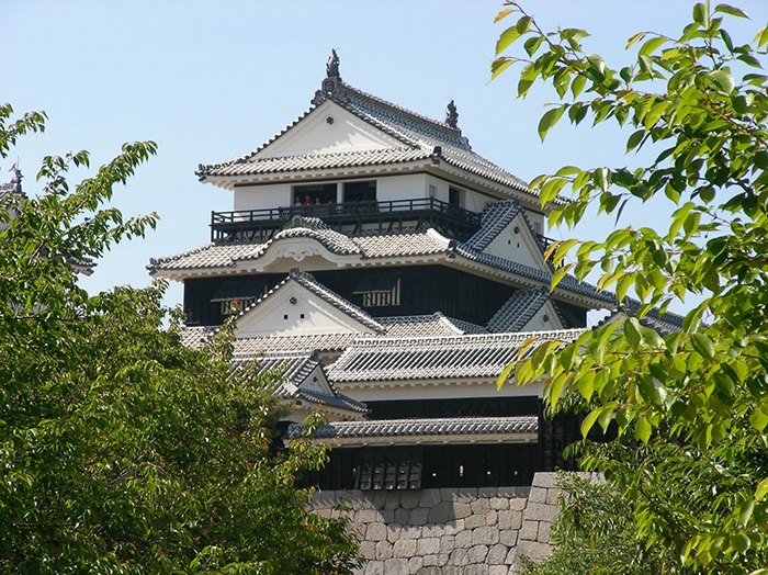 ทัวร์ญี่ปุ่น เกาะชิโกกุ Matsuyama Castle