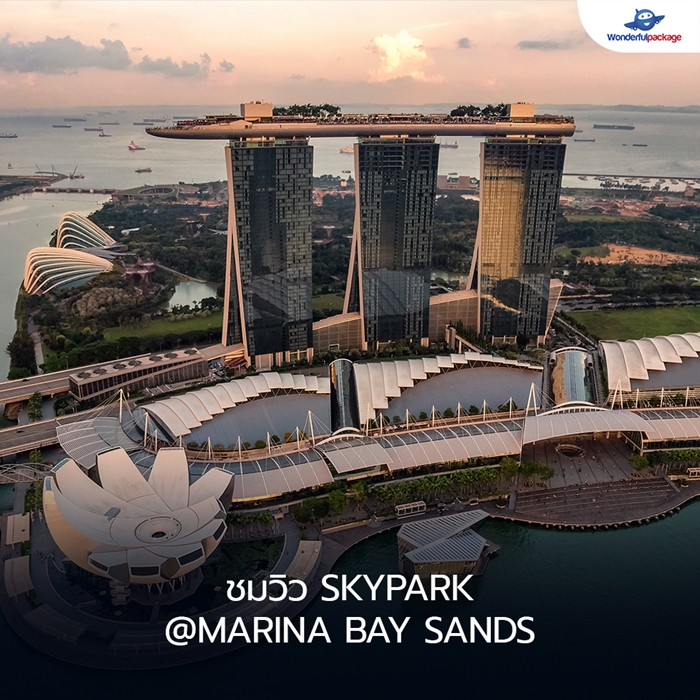 ชมวิว SkyPark @Marina Bay Sands