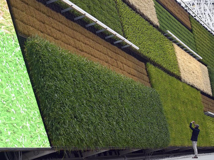 pavilion, milan expo, expo milano