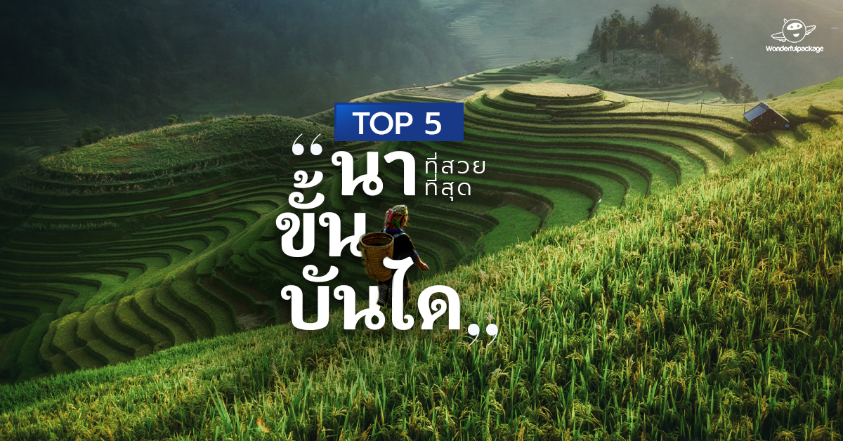 TOP 5 นาขั้นบันไดที่สวยที่สุด