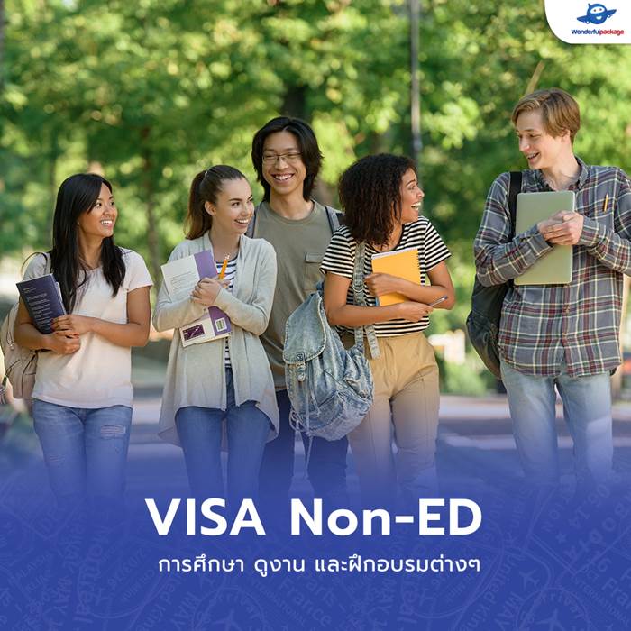 VISA Non-ED