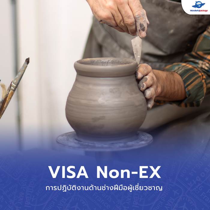 VISA Non-EX