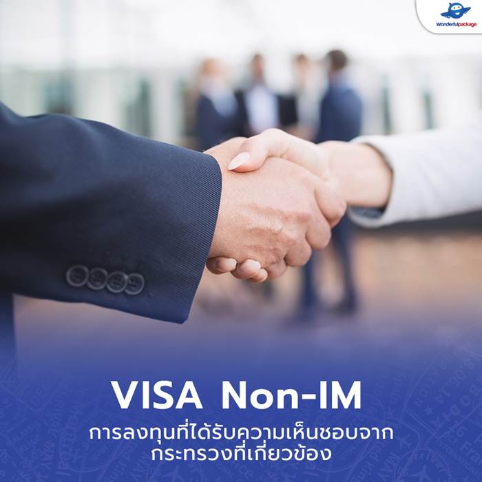 VISA Non-IM