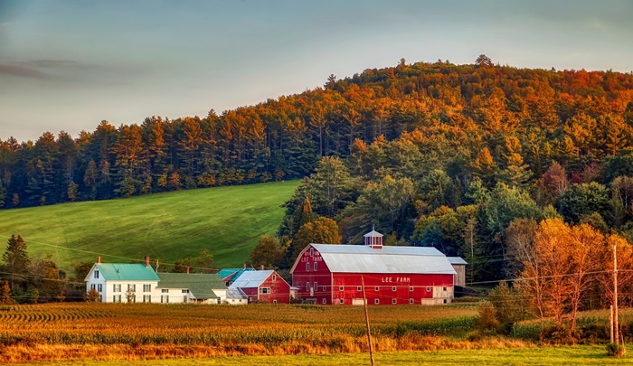 นิวแฮมป์เชียร์ (New Hampshire)
