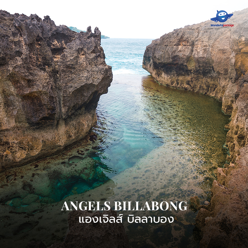 แองเจิลส์ บิลลาบอง (Angels Billabong)