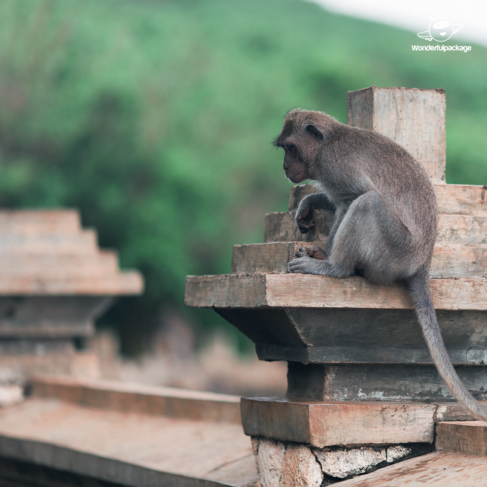 วิวทะเลหลักล้าน วิหารอูลูวาตู (Uluwatu) บาหลี