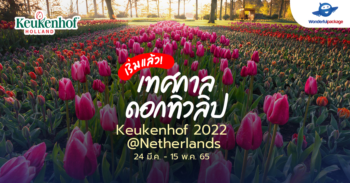 เที่ยวเนเธอร์แลนด์ ตามไปดูเทศกาลดอกทิวลิป Keukenhof 2022 และในแต่ละปีที่ผ่านมา