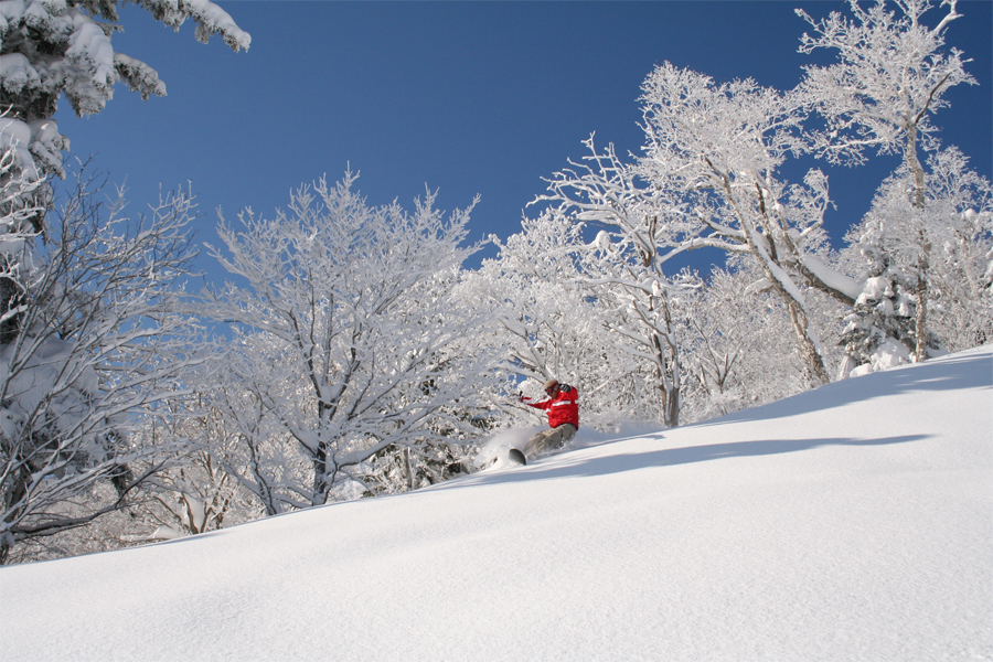 แหล่งท่องเที่ยวญี่ปุ่น  Furano Ski Area