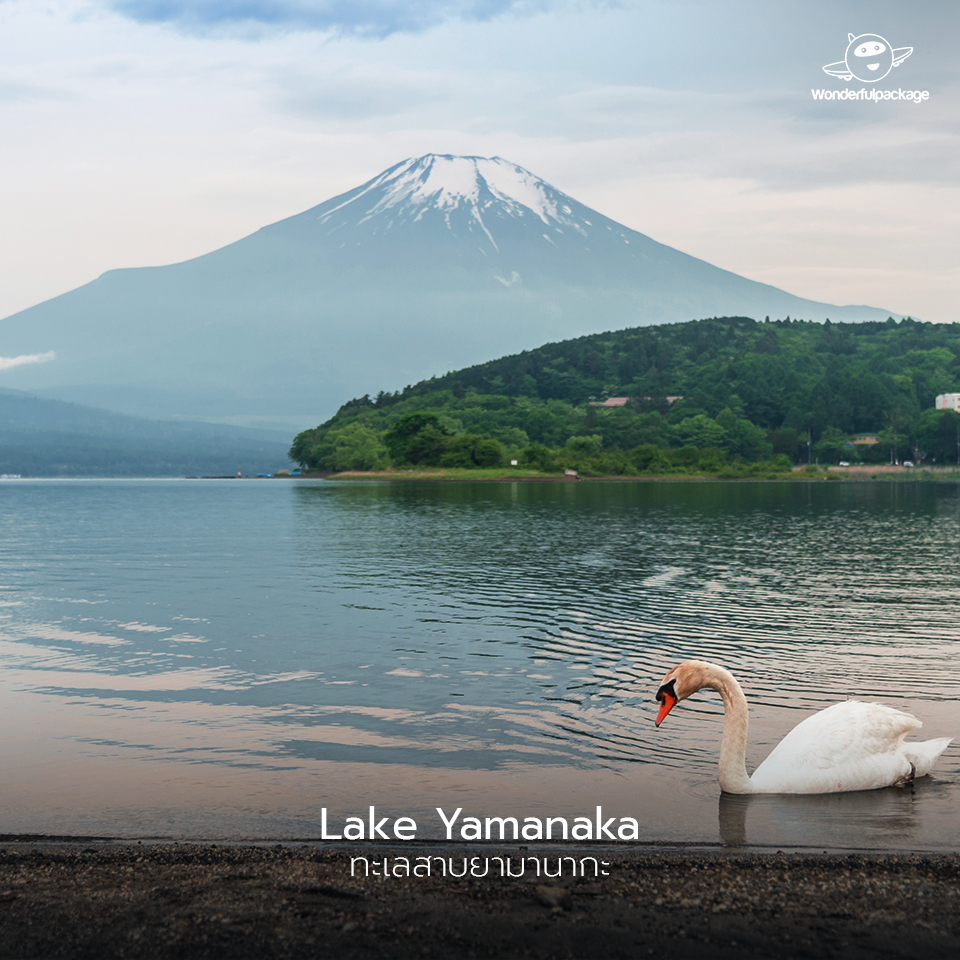 ทะเลสาบยามานากะ (Lake Yamanaka)