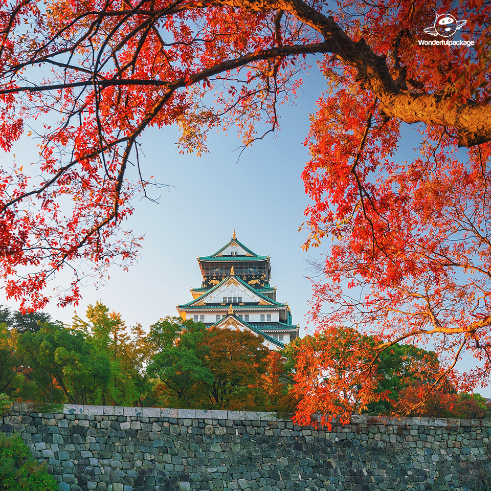 ปราสาทโอซาก้า (Osaka Castle) ปราสาทที่สวยงามทุกฤดู