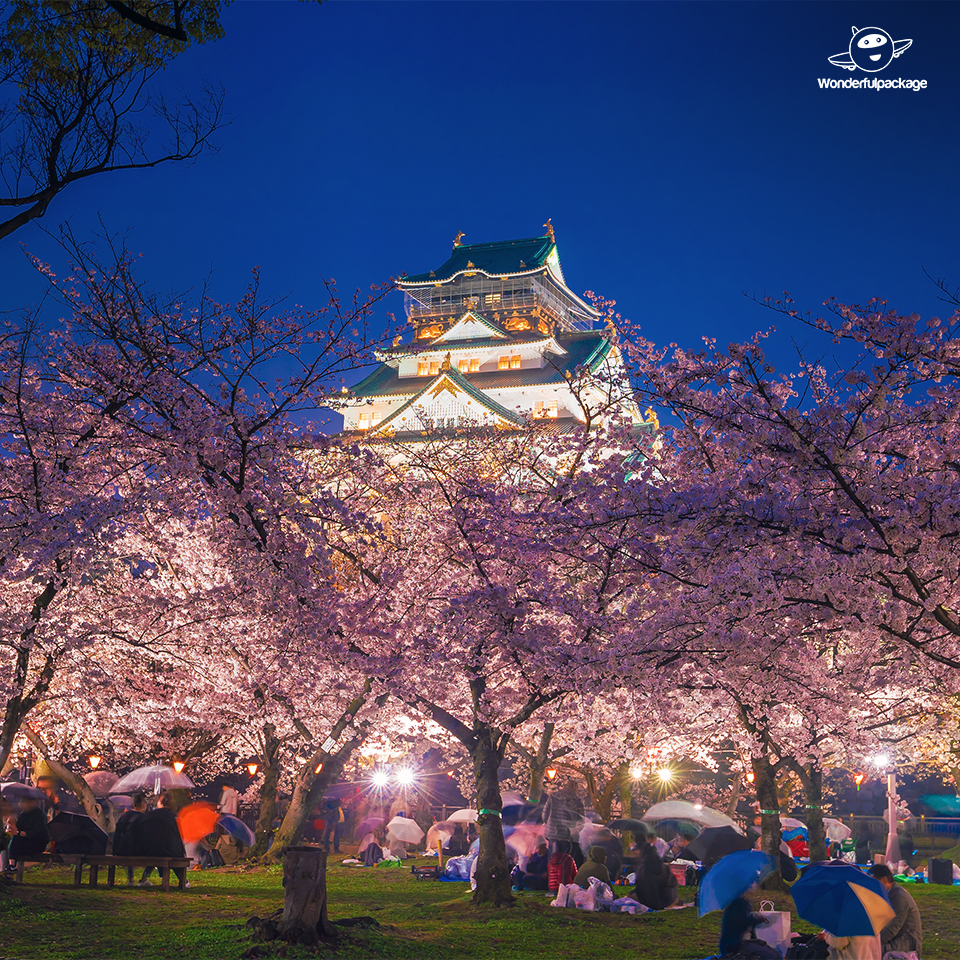 ปราสาทโอซาก้า (Osaka Castle) ปราสาทที่สวยงามทุกฤดู