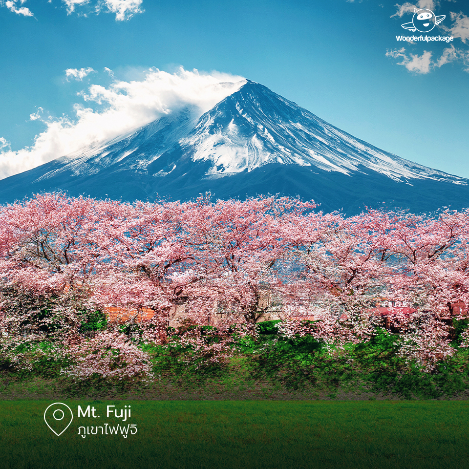 Mt. Fuji ภูเขาไฟฟูจิ