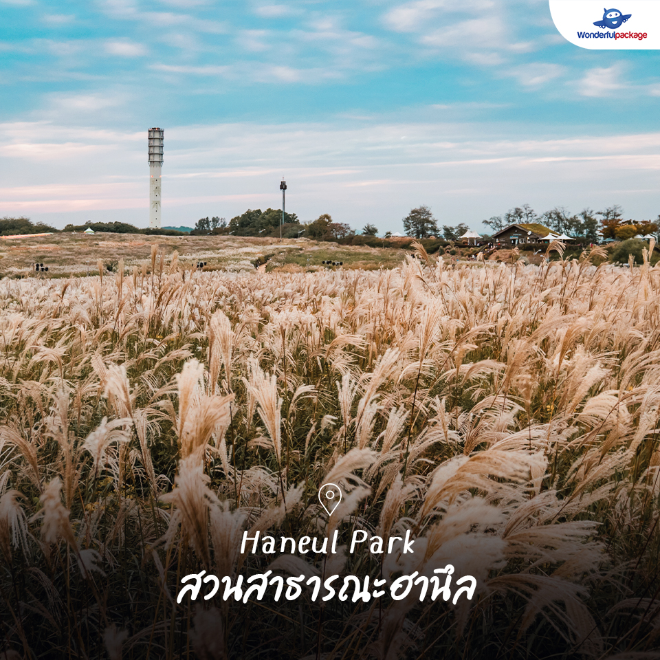 Haneul Park สวนสาธารณะฮานึล