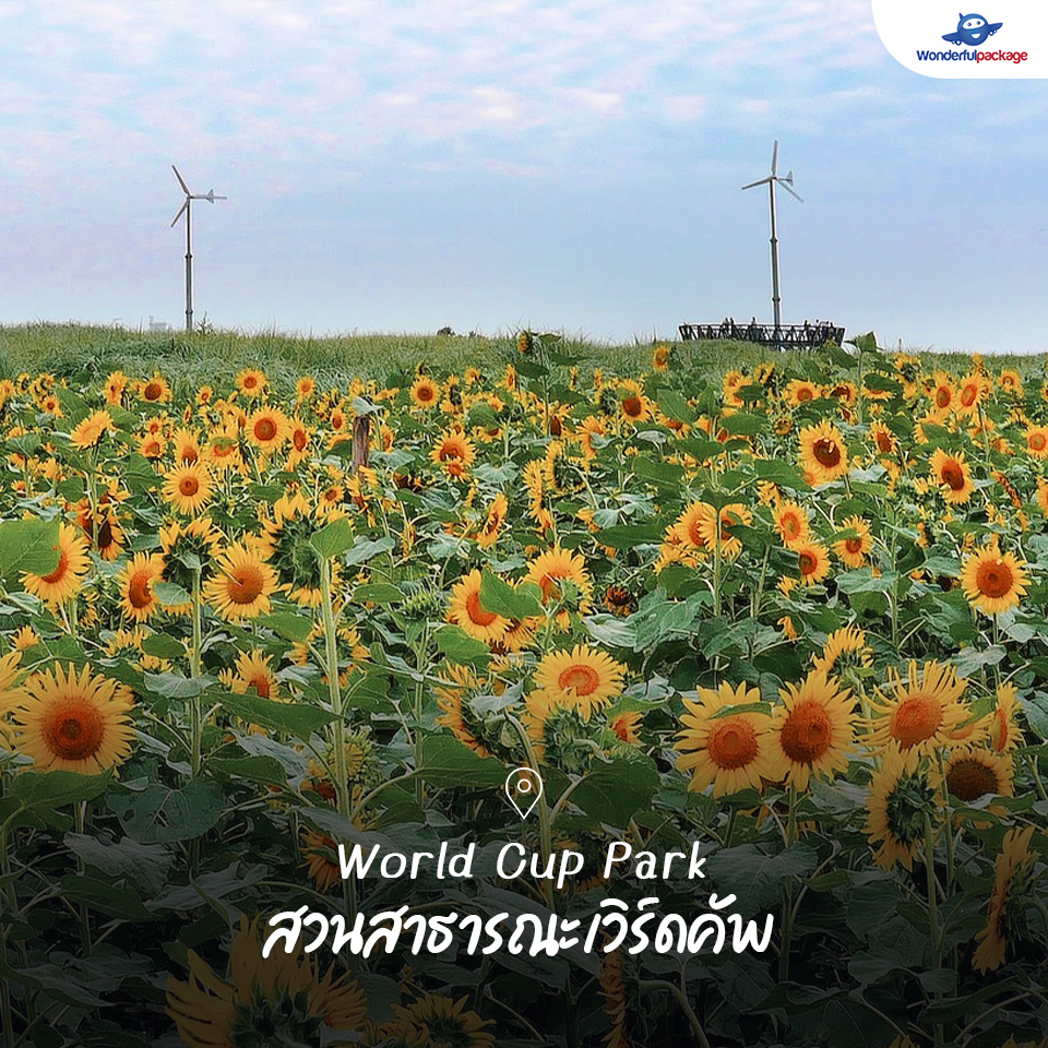 World Cup Park สวนสาธารณะเวิร์ดคัพ