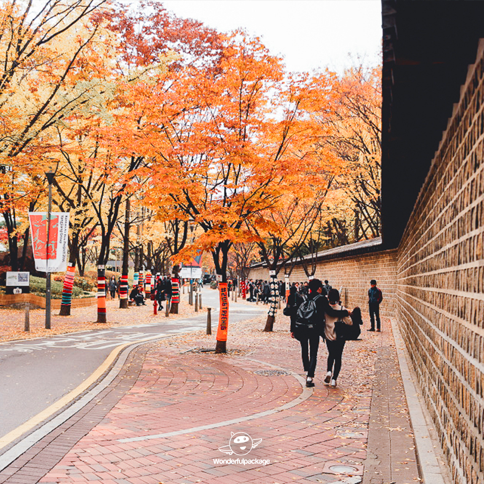 ถนนสายโรแมนติกถ็อกซูกุง (Deoksugung Stone-wall Road)