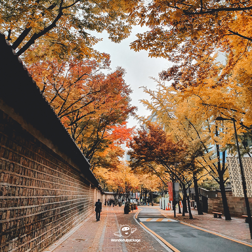 ถนนสายโรแมนติกถ็อกซูกุง (Deoksugung Stone-wall Road)