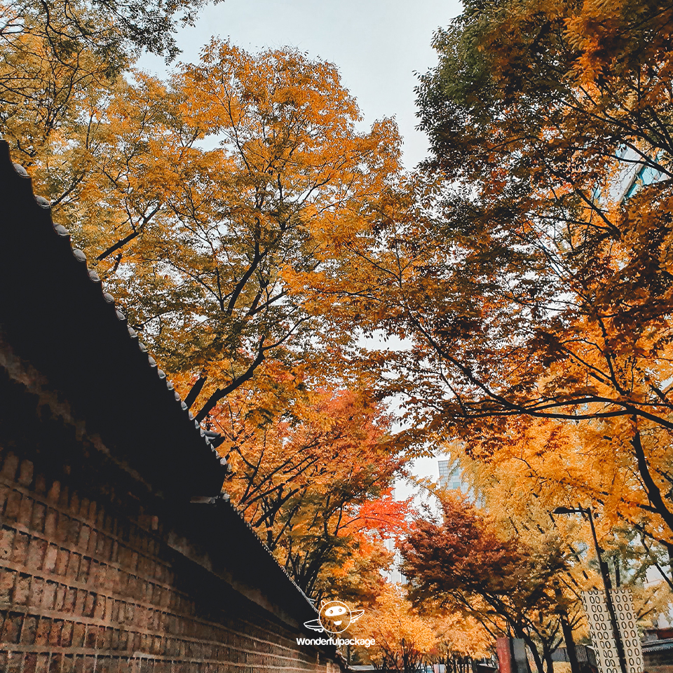 ถนนสายโรแมนติกถ็อกซูกุง (Deoksugung Stone-wall Road)