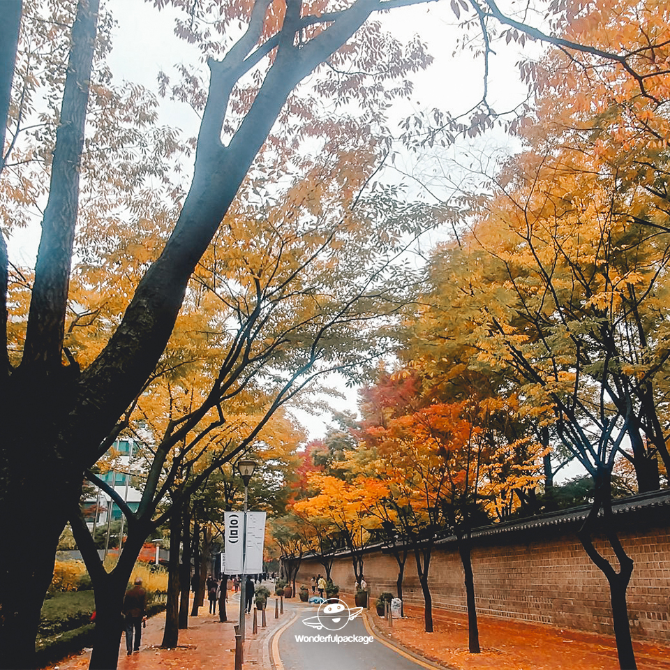 ถนนสายโรแมนติกถ็อกซูกุง (Deoksugung Stone-wall Road)