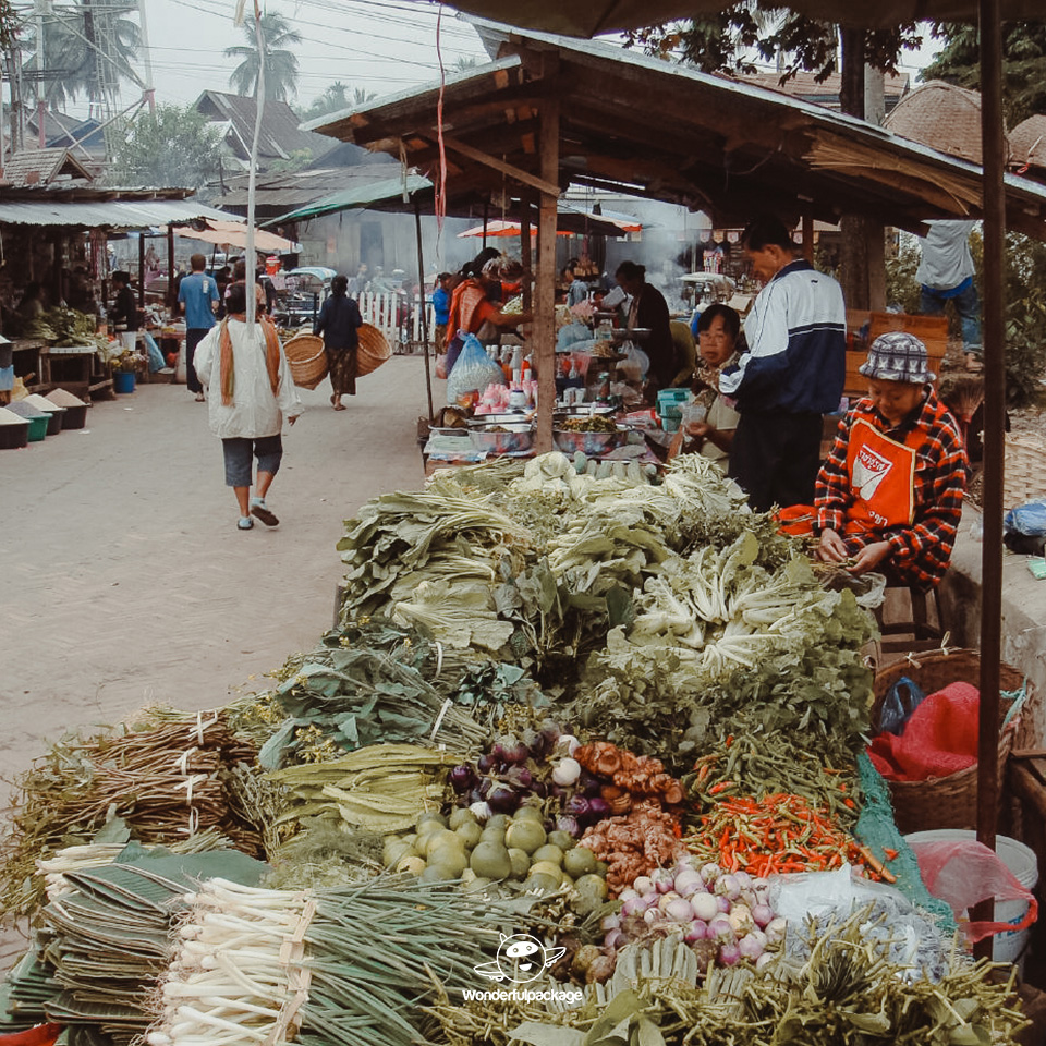 เช้าๆ ณ หลวงพระบาง ตักบาตรข้าวเหนียว เดินเที่ยวตลาดเช้า