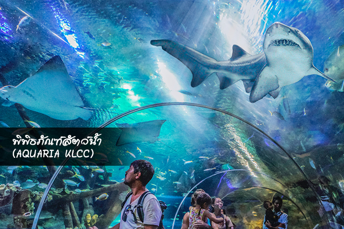 พิพิธภัณฑ์สัตว์น้ำ (Aquaria KLCC)